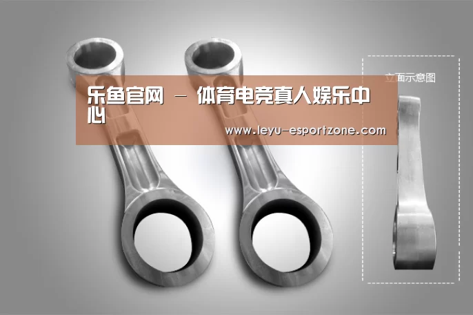 产品展示标题五