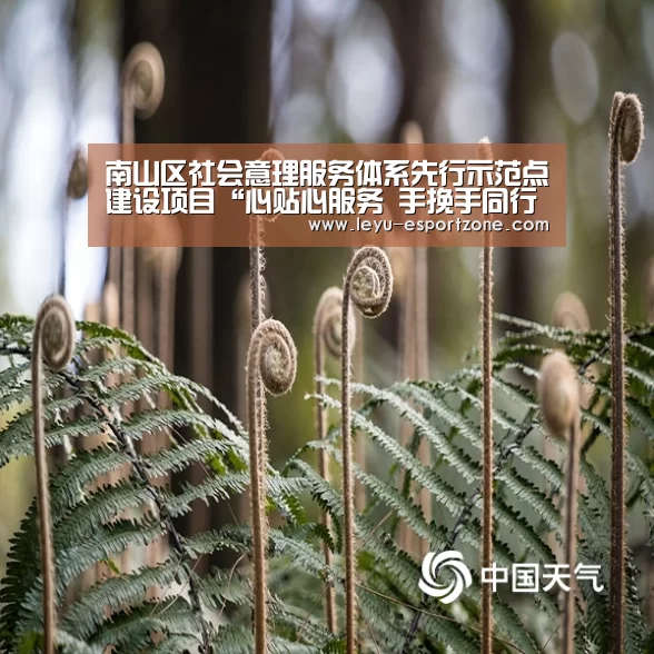 南山区社会意理服务体系先行示范点建设项目“心贴心服务 手挽手同行”落地|乐鱼官网(图2) 乐鱼最新地址