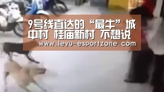 9号线直达的“最牛”城中村 桂庙新村 不想说再见!【乐鱼最新地址】(图7) 乐鱼电竞竞猜